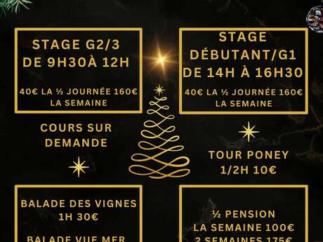 Riding course at the Cibonne stables Christmas vacations