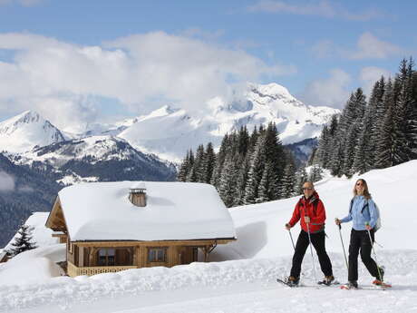 Discover Nordic walking with the ESF