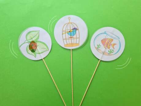 Atelier "Thaumatrope"