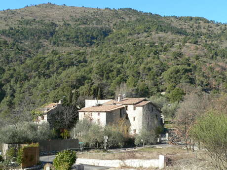 Le Moulin des Tulipans