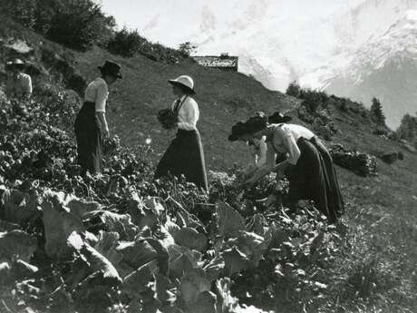 Atelier : Potager de papier