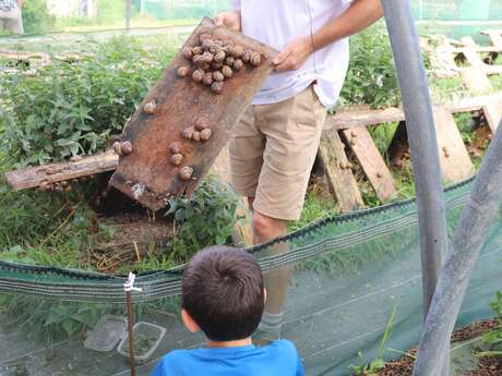 Visite-dégustation au Domaine de l'escargot