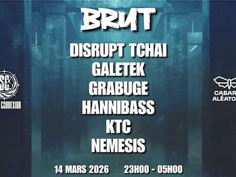 South connexion brut 001