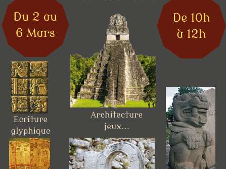 Stage archéologie : Au sommet des pyramides Mayas