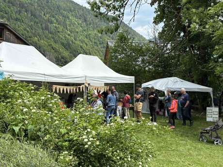 Festival Les Nuits des Forêts