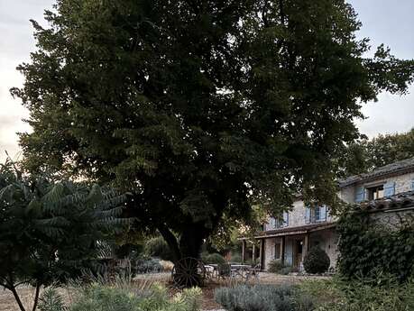 Les Rossignols 6 pers La Muse