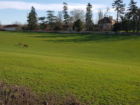 Boucle cyclable n°4 : boucle rurale du Grand Couvert