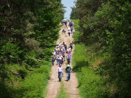 Randonnée pédestre et VTT