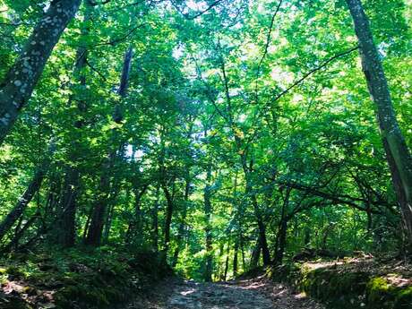 Sentier des paysages des Monts du Lyonnais: Westschleife