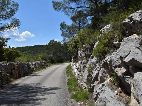 Saint-Antonin/Sillans-la-Cascade - Eurovélo 8