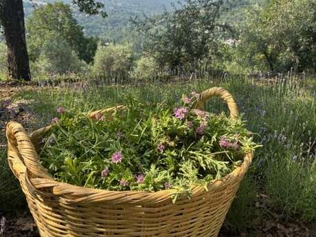 Les Terres de Saint-Sauveur: Nachmittagsimbiss oder blumiger Aperitif im Herzen eines landwirtschaftlichen Betriebs