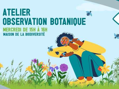 Atelier d'observation botanique spécial Gonatostylis vieillardi