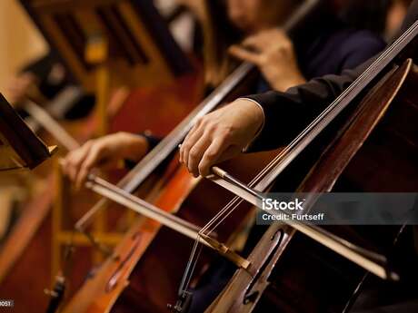 Large cello ensemble concert