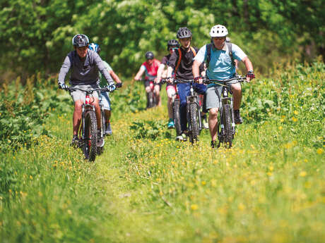 Gourmet bike tour: from ice cream parlour to vineyards