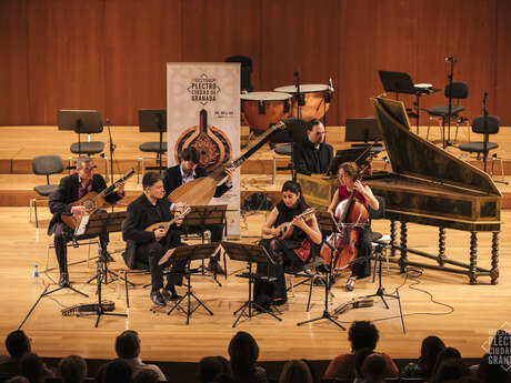 Il Viaggio Musicale - Ensemble Artemandolie