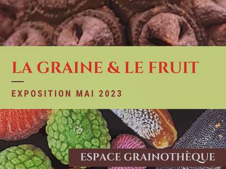 "Seed and fruit" exhibition