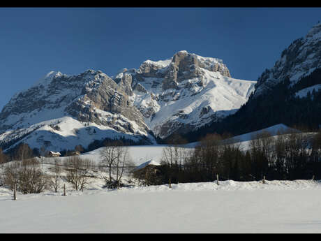 Chalet La Pricaz
