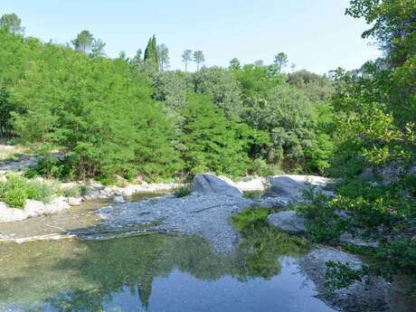 La rivière dans tous les sens