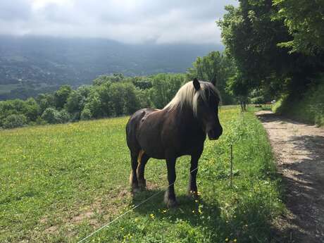 Ferme d'Allicoud