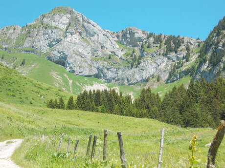 Itinéraire pédestre : Alpage de la Charmette