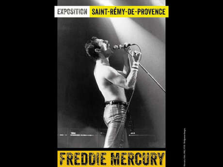Exhibition : Freddie Mercury, never say goodbye