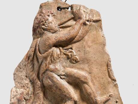 Visite flash de l'exposition temporaire - Satyres, sérieux s'abstenir !