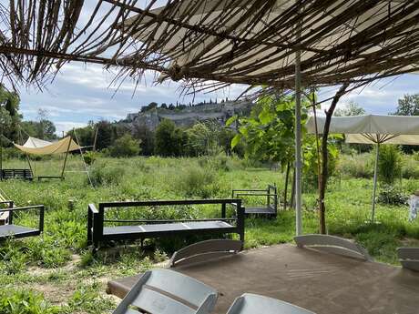 Balade "Plantes sauvages et permaculture"