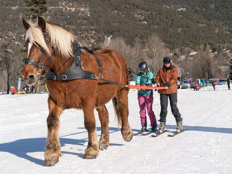 Initiation au Ski joëring