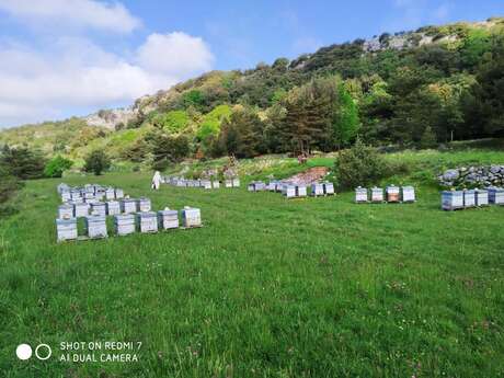 Les Ruchers du Paradis