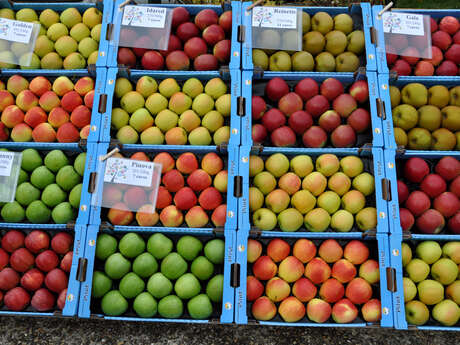 Fête de la Pomme