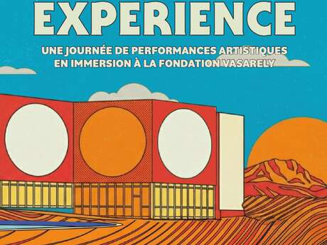 Vasarely Expérience
