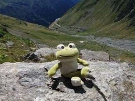 Association "Les enfants de papa grenouille"