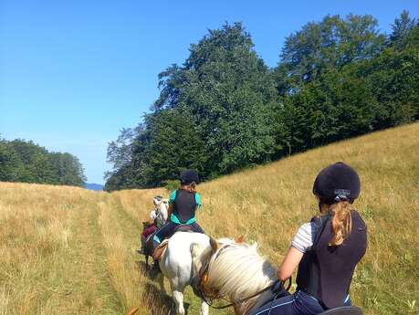 Randonnée équestre avec Equus Pleine Nature