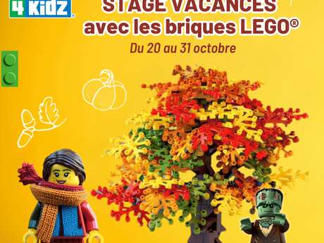 Stage Vacances LEGO®