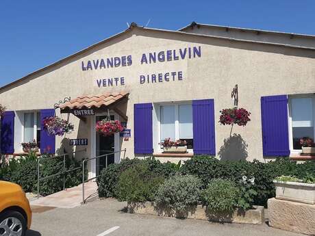 Guided tour of the Distillerie Lavandes Angelvin