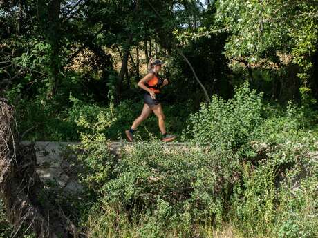 Parcours trail 13 - Trail des bords de Loire