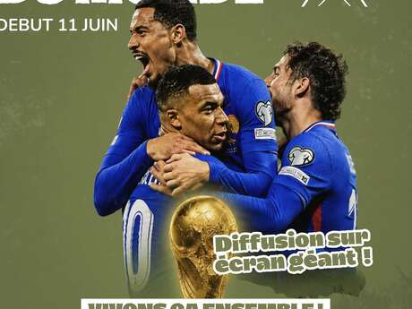 Broadcast of the France vs. Spain Semi-Final Match