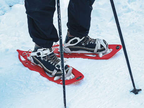 Guided snowshoe hike on the Savolaire plateau with Martine Dupont