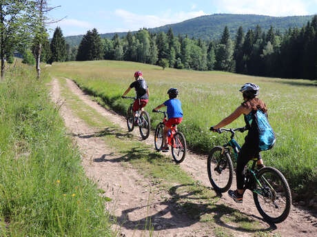 Rando VTT : La Baujue - 8ème édition