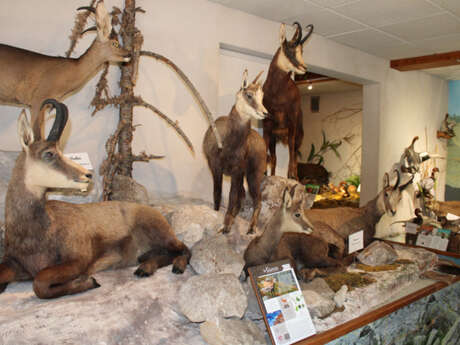 Journées Européennes du Patrimoine - Visite du Musée de la Faune
