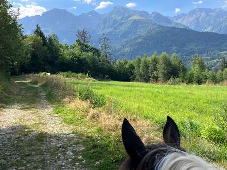 À la rencontre des producteurs locaux - Les Chevaux des Crêts