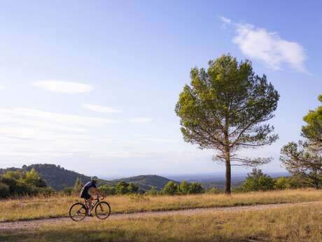 Idée séjour - Esprit triathlon aux portes du Ventoux