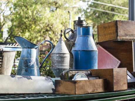 Vide grenier des Chats libres de Vedène
