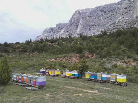 La Miellerie de Sainte-Victoire