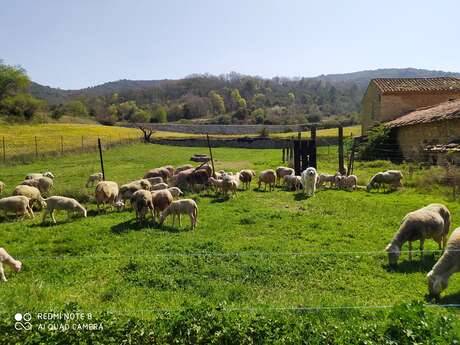 Bergerie de Saint Gens