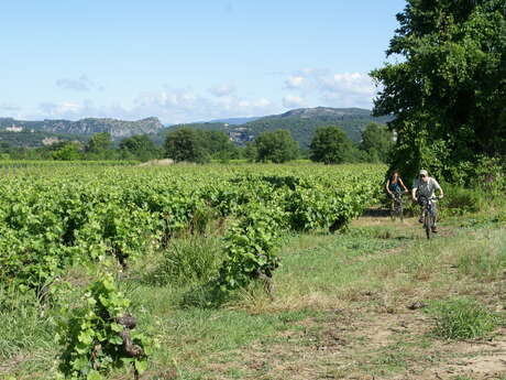 Cyclo - Entre Piémont et Cévennes