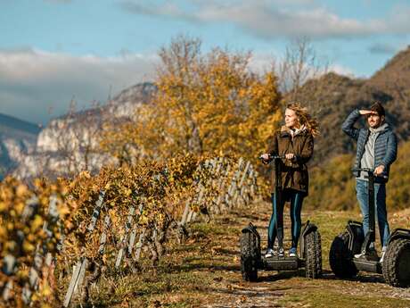 Balade en Segway dans les vignobles et dégustation
