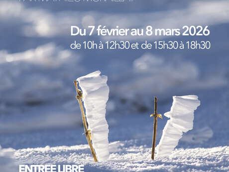 MMM Exhibition - Photograph sale