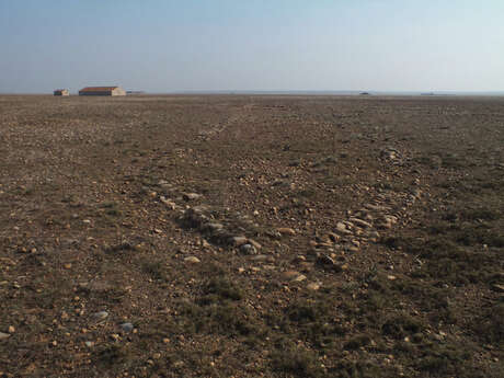 Les coussous de la Crau