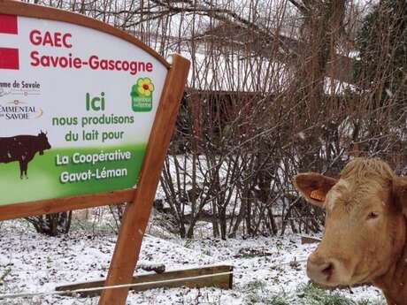 GAEC Savoie Gascogne - Ferme pédagogique